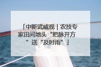 中新武威观｜农技专家田间地头“把脉开方”送“及时雨”