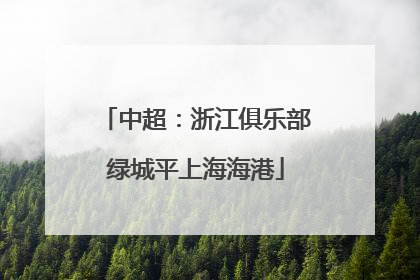 中超：浙江俱乐部绿城平上海海港