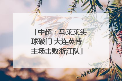 中超：马莱莱头球破门 大连英博主场击败浙江队