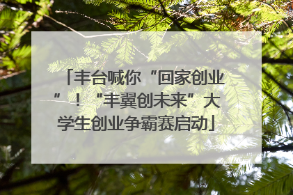 丰台喊你“回家创业”！“丰翼创未来”大学生创业争霸赛启动
