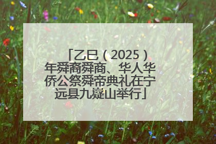 乙巳（2025）年舜裔舜商、华人华侨公祭舜帝典礼在宁远县九嶷山举行