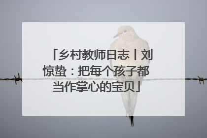 乡村教师日志丨刘惊蛰：把每个孩子都当作掌心的宝贝