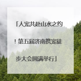 人宠共赴山水之约！第五届济南携宠徒步大会圆满举行