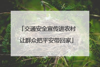 交通安全宣传进农村 让群众把平安带回家