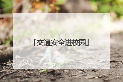 交通安全进校园