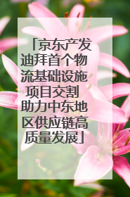 京东产发迪拜首个物流基础设施项目交割 助力中东地区供应链高质量发展
