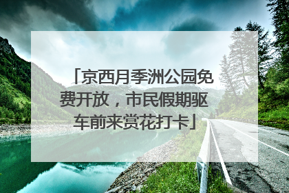 京西月季洲公园免费开放，市民假期驱车前来赏花打卡