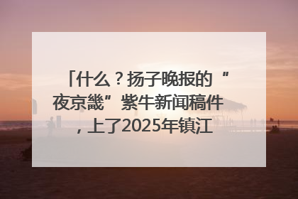什么？扬子晚报的“夜京畿”紫牛新闻稿件，上了2025年镇江中考模拟卷！