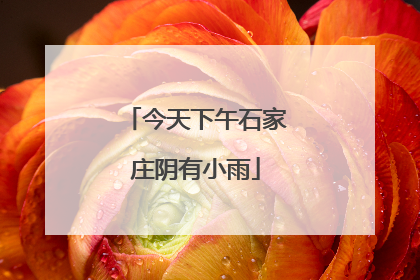 今天下午石家庄阴有小雨
