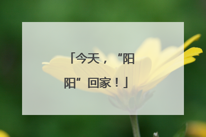 今天，“阳阳”回家！