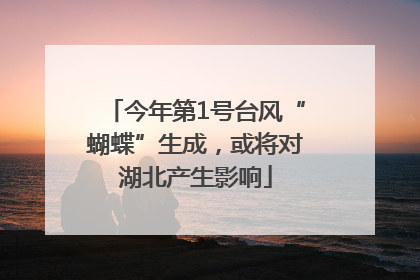 今年第1号台风“蝴蝶”生成，或将对湖北产生影响