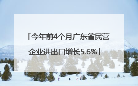 今年前4个月广东省民营企业进出口增长5.6%