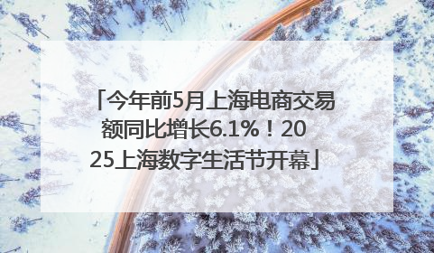 今年前5月上海电商交易额同比增长6.1%！2025上海数字生活节开幕
