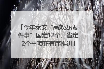 今年泰安“高效办成一件事”国定12个、省定2个事项正有序推进
