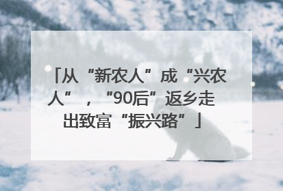 从“新农人”成“兴农人”，“90后”返乡走出致富“振兴路”