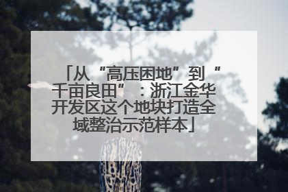 从“高压困地”到“千亩良田”：浙江金华开发区这个地块打造全域整治示范样本
