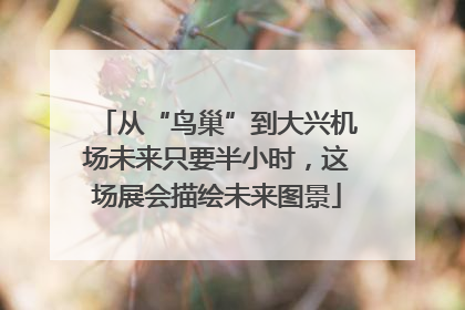 从“鸟巢”到大兴机场未来只要半小时，这场展会描绘未来图景