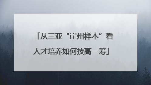 从三亚“崖州样本”看人才培养如何技高一筹