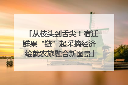 从枝头到舌尖！宿迁鲜果“链”起采摘经济绘就农旅融合新图景