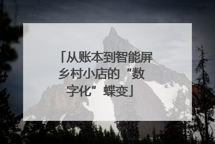 从账本到智能屏 乡村小店的“数字化”蝶变