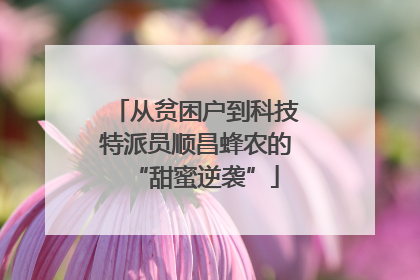 从贫困户到科技特派员顺昌蜂农的“甜蜜逆袭”