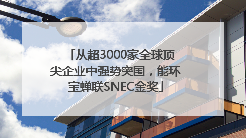 从超3000家全球顶尖企业中强势突围，能环宝蝉联SNEC金奖
