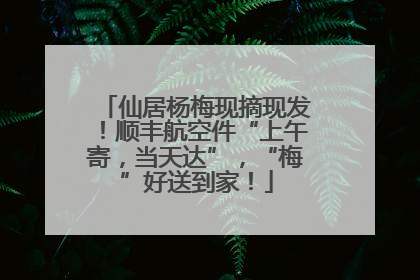 仙居杨梅现摘现发！顺丰航空件“上午寄，当天达”，“梅”好送到家！