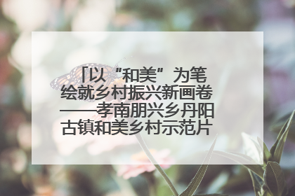 以“和美”为笔 绘就乡村振兴新画卷——孝南朋兴乡丹阳古镇和美乡村示范片区建设综述