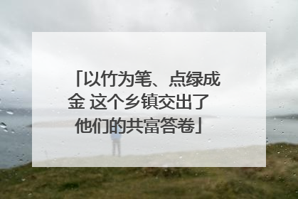 以竹为笔、点绿成金 这个乡镇交出了他们的共富答卷