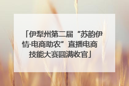 伊犁州第二届“苏韵伊情·电商助农”直播电商技能大赛圆满收官
