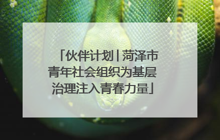 伙伴计划│菏泽市青年社会组织为基层治理注入青春力量