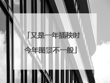 又是一年插秧时 今年图景不一般