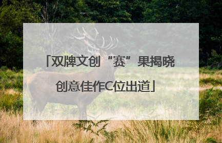双牌文创“赛”果揭晓 创意佳作C位出道