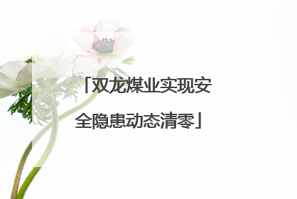双龙煤业实现安全隐患动态清零