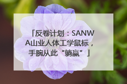 反卷计划：SANWA山业人体工学鼠标，手腕从此“躺赢”