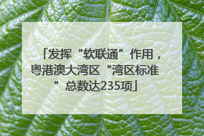 发挥“软联通”作用，粤港澳大湾区“湾区标准”总数达235项