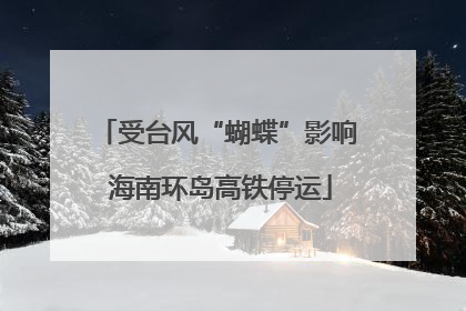 受台风“蝴蝶”影响 海南环岛高铁停运