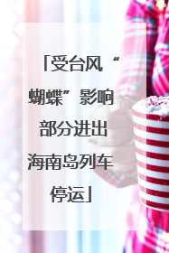 受台风“蝴蝶”影响 部分进出海南岛列车停运