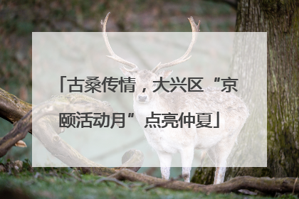 古桑传情，大兴区“京颐活动月”点亮仲夏