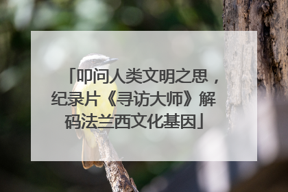 叩问人类文明之思，纪录片《寻访大师》解码法兰西文化基因
