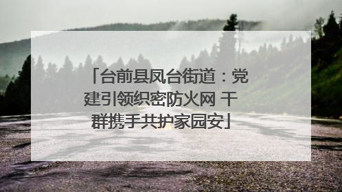 台前县凤台街道：党建引领织密防火网 干群携手共护家园安