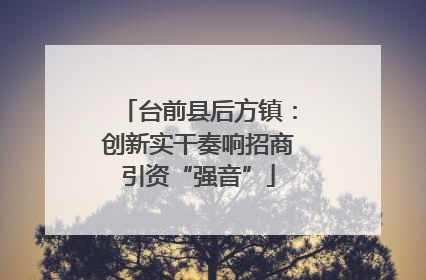 台前县后方镇：创新实干奏响招商引资“强音”