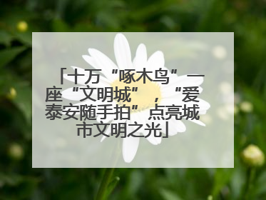 十万“啄木鸟”一座“文明城”，“爱泰安随手拍”点亮城市文明之光