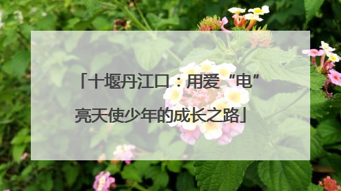 十堰丹江口：用爱“电”亮天使少年的成长之路