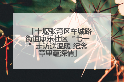 十堰张湾区车城路街道康乐社区“七一”走访送温暖 纪念章里蕴深情