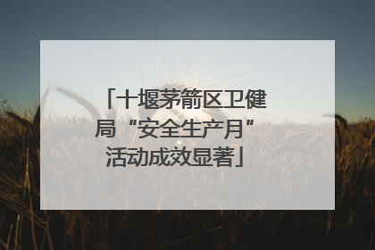 十堰茅箭区卫健局“安全生产月”活动成效显著