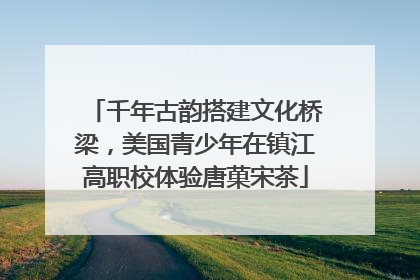 千年古韵搭建文化桥梁，美国青少年在镇江高职校体验唐菓宋茶