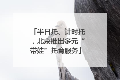 半日托、计时托，北京推出多元“带娃”托育服务