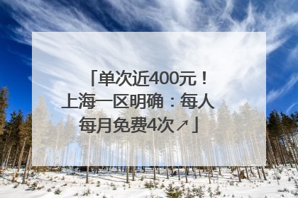 单次近400元！上海一区明确：每人每月免费4次↗