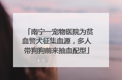 南宁一宠物医院为贫血警犬征集血源，多人带狗狗前来抽血配型